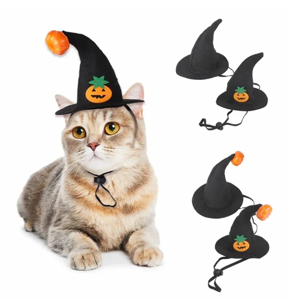 Costume d'Halloween  - Chapeau et Ailes de Chauve-Souris