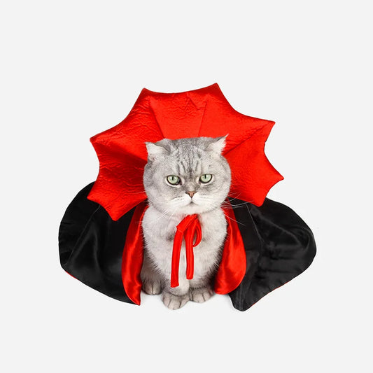 🧛‍♂️ Costumes de vampire pour petits chiens et chatons 🎩