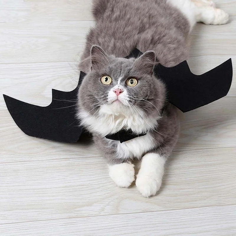 🦇 Costume Halloween Ailes de Chauve-Souris – Déguisement Adorable pour Chiens & Chats 🦇