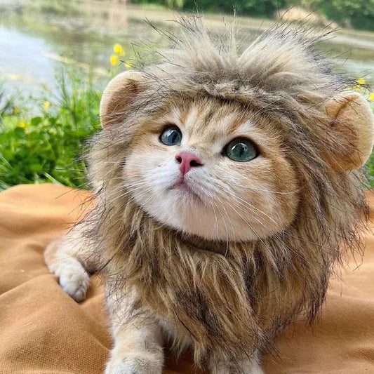 🦁 Perruque de Lion Mignonne pour Chats  🦁