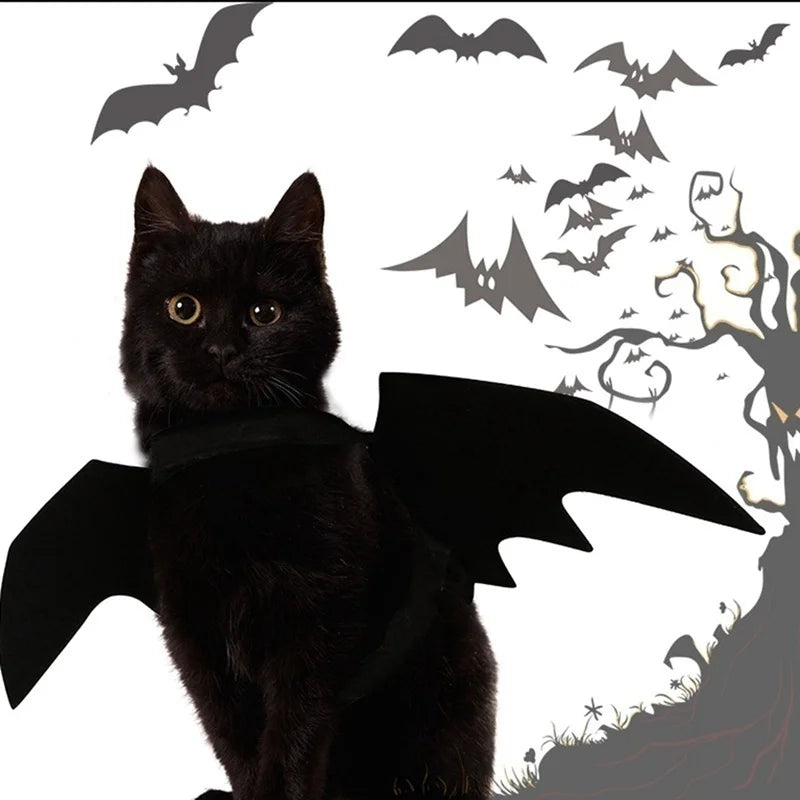 🦇 Costume Halloween Ailes de Chauve-Souris – Déguisement Adorable pour Chiens & Chats 🦇