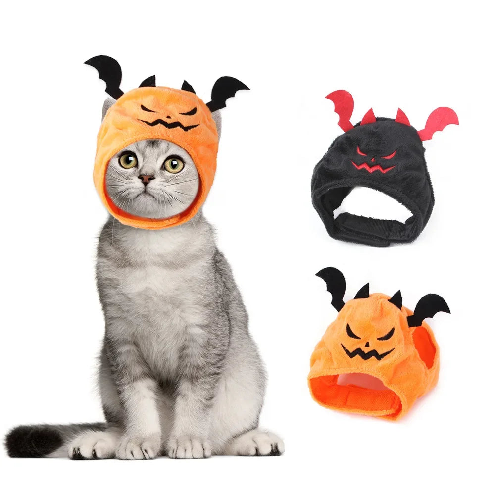 🦉 Costume d'Halloween pour Chien et Chat - La Chouette 🦉