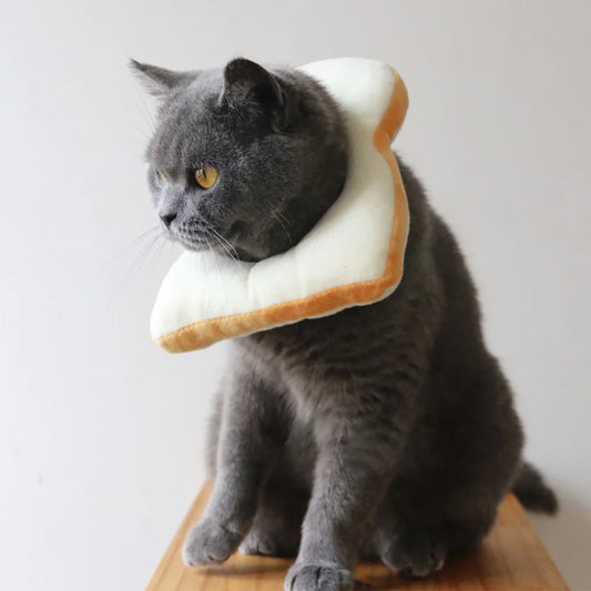 🍞 Miaou - Pain de mie 🍞