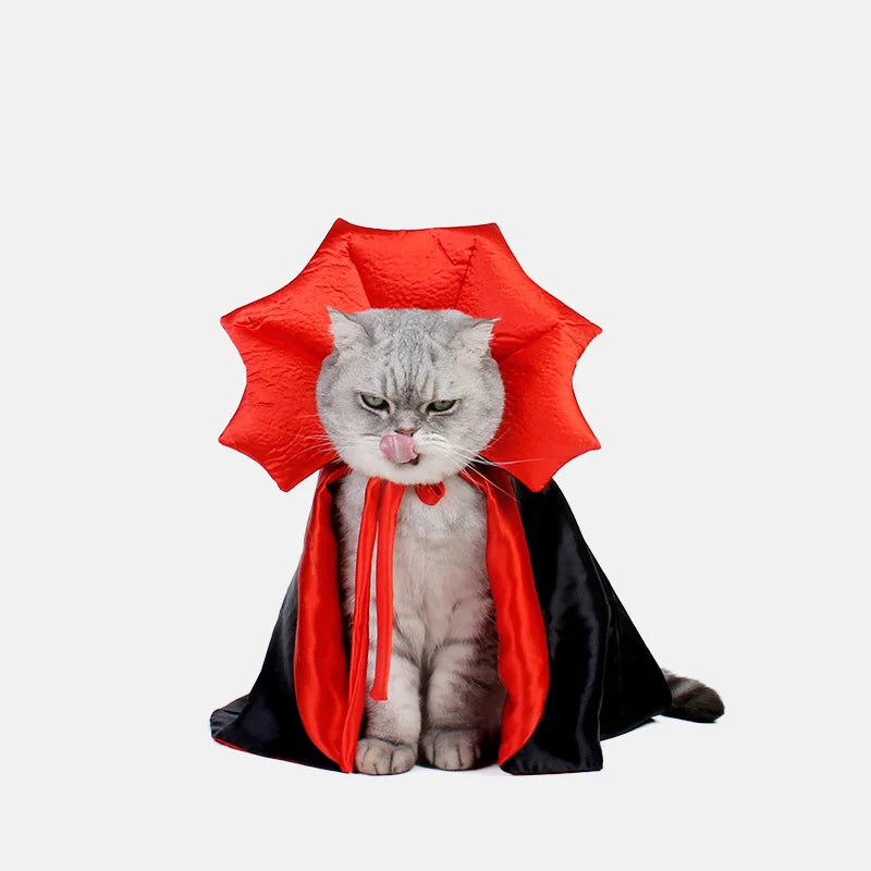 🧛‍♂️ Costumes de vampire pour petits chiens et chatons 🎩