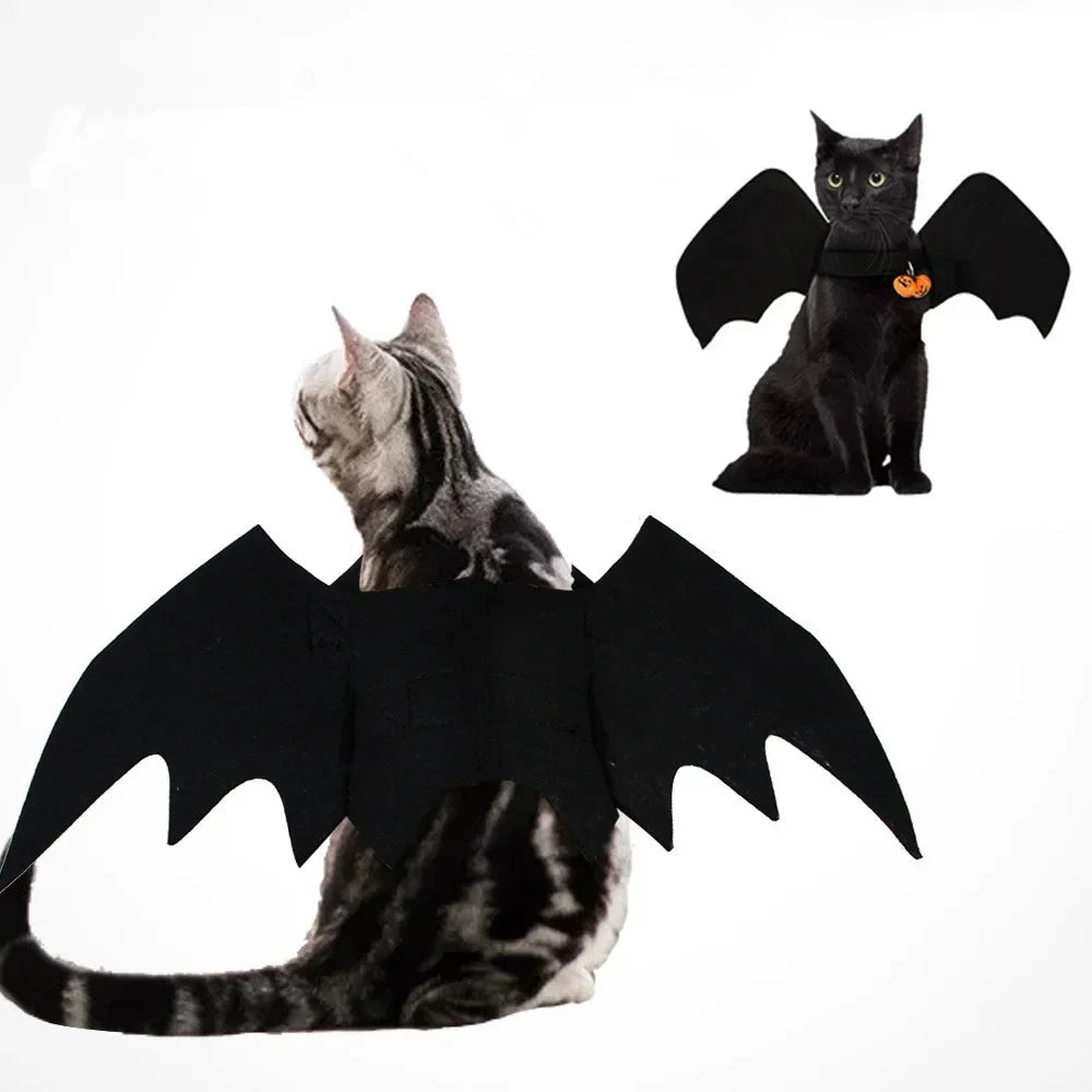 Costume d'Halloween  - Chapeau et Ailes de Chauve-Souris