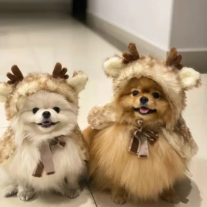 🦌 Lustiger Rentierumhang: Verwandeln Sie Ihr Haustier in einen Feiertagsstern! 🦌