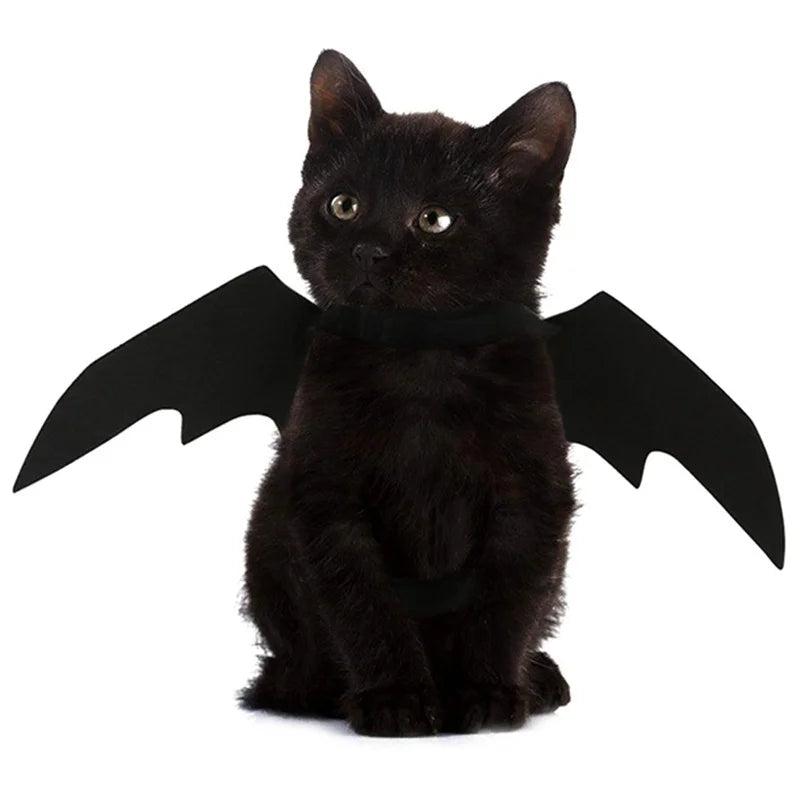 🦇 Costume Halloween Ailes de Chauve-Souris – Déguisement Adorable pour Chiens & Chats 🦇